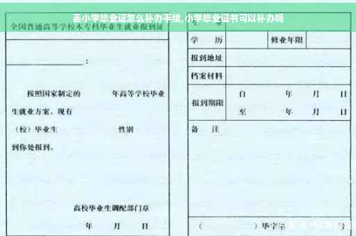 丢小学毕业证怎么补办手续,小学毕业证书可以补办吗