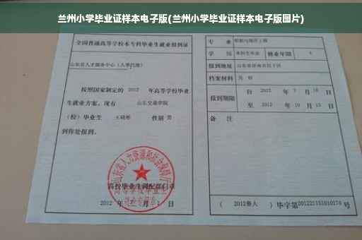 兰州小学毕业证样本电子版(兰州小学毕业证样本电子版图片)