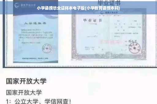 小学函授毕业证样本电子版(小学教育函授本科)