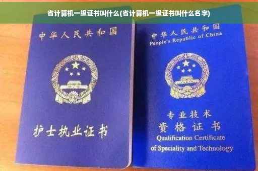 省计算机一级证书叫什么(省计算机一级证书叫什么名字) 省计算机一级证书叫什么(省计算机一级证书叫什么名字)