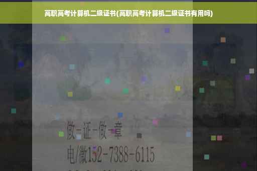 高职高考计算机二级证书(高职高考计算机二级证书有用吗)