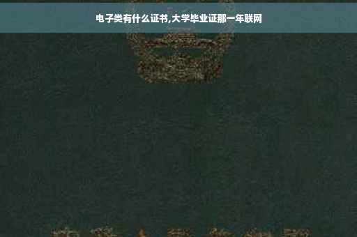 电子类有什么证书,大学毕业证那一年联网