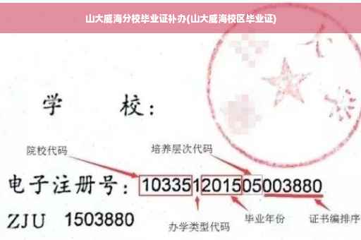 山大威海分校毕业证补办(山大威海校区毕业证)