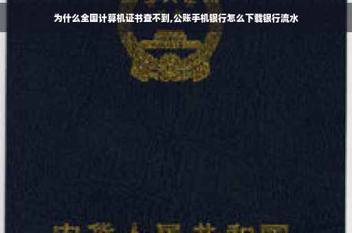 为什么全国计算机证书查不到,公账手机银行怎么下载银行流水