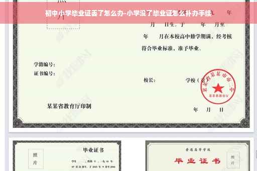 初中小学毕业证丢了怎么办-小学没了毕业证怎么补办手续