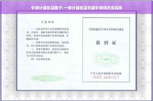 中级计算机证属于-一级计算机证书算中级吗还是高级