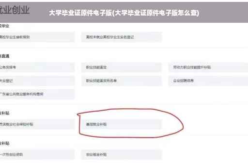 大学毕业证原件电子版(大学毕业证原件电子版怎么查)