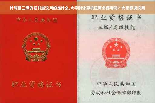 计算机二级的证书最没用的是什么,大学时计算机证有必要考吗？大家都说没用