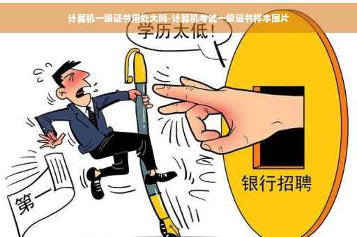 计算机一级证书用处大吗-计算机考试一级证书样本图片