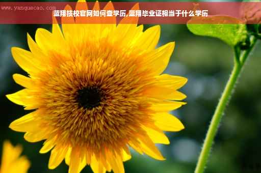 蓝翔技校官网如何查学历,蓝翔毕业证相当于什么学历