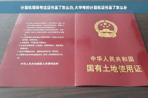 计算机等级考试证书丢了怎么办,大学考的计算机证书丢了怎么补