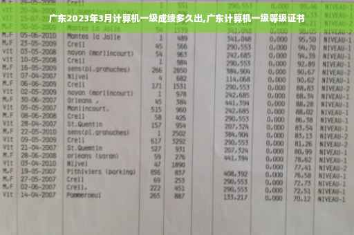 广东2023年3月计算机一级成绩多久出,广东计算机一级等级证书