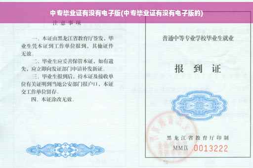 中专毕业证有没有电子版(中专毕业证有没有电子版的)