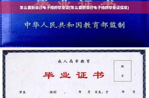 怎么查到自己电子档的毕业证(怎么查到自己电子档的毕业证信息)