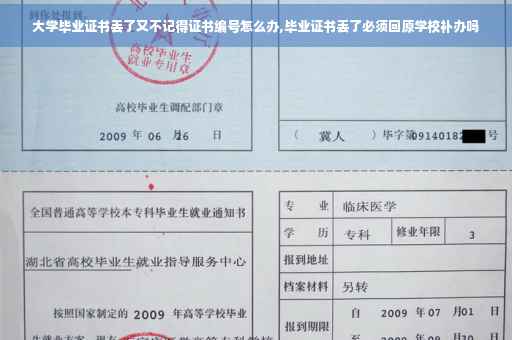 大学毕业证书丢了又不记得证书编号怎么办,毕业证书丢了必须回原学校补办吗