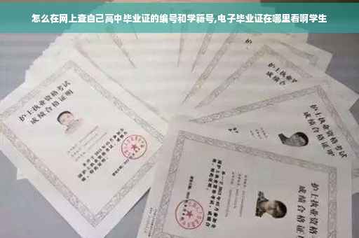 怎么在网上查自己高中毕业证的编号和学籍号,电子毕业证在哪里看啊学生