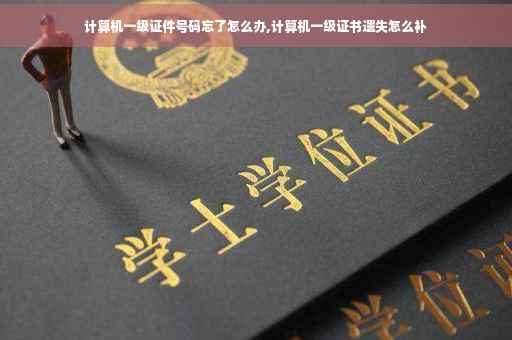 计算机一级证件号码忘了怎么办,计算机一级证书遗失怎么补