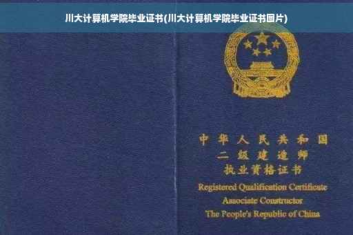 川大计算机学院毕业证书(川大计算机学院毕业证书图片)