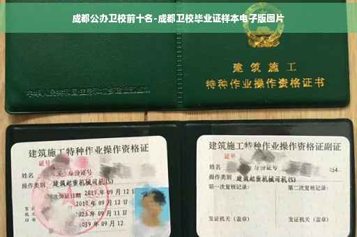 成都公办卫校前十名-成都卫校毕业证样本电子版图片