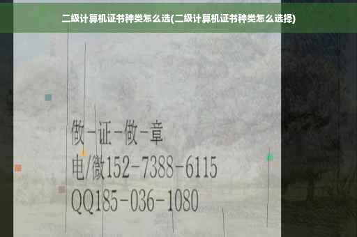 二级计算机证书种类怎么选(二级计算机证书种类怎么选择)