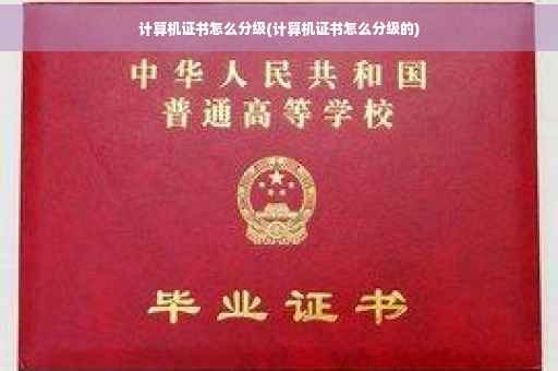 计算机证书怎么分级(计算机证书怎么分级的)