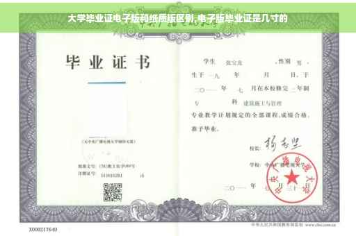 大学毕业证电子版和纸质版区别,电子版毕业证是几寸的