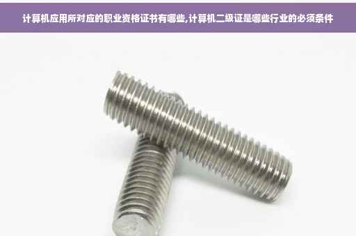 计算机应用所对应的职业资格证书有哪些,计算机二级证是哪些行业的必须条件
