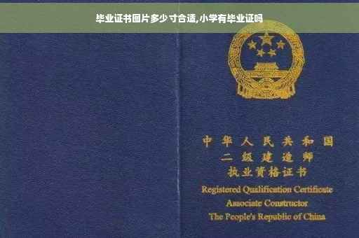 毕业证书图片多少寸合适,小学有毕业证吗