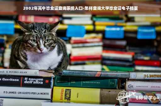 2002年高中毕业证查询系统入口-怎样查询大学毕业证电子档案