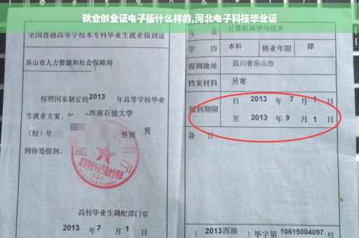 就业创业证电子版什么样的,河北电子科技毕业证