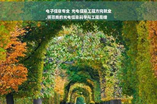 电子信息专业  光电信息工程方向就业
,师范类的光电信息科学与工程是啥