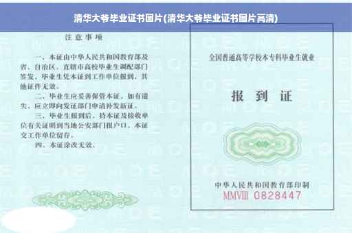 清华大爷毕业证书图片(清华大爷毕业证书图片高清) 清华大爷毕业证书图片(清华大爷毕业证书图片高清)