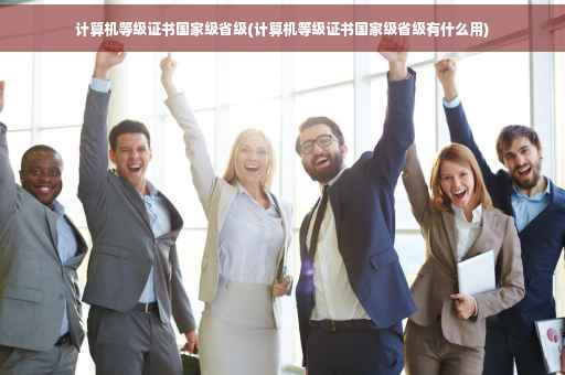 计算机等级证书国家级省级(计算机等级证书国家级省级有什么用)