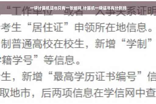 一级计算机证书只有一张纸吗,计算机一级证书有分别吗