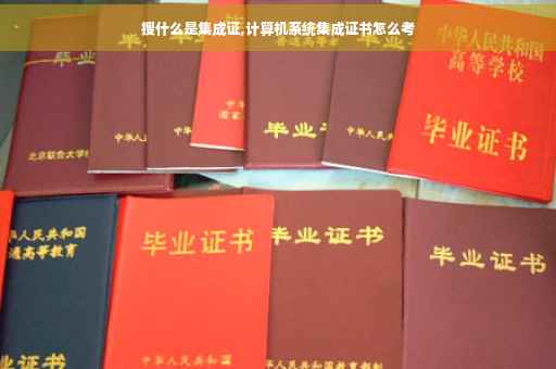 搜什么是集成证,计算机系统集成证书怎么考