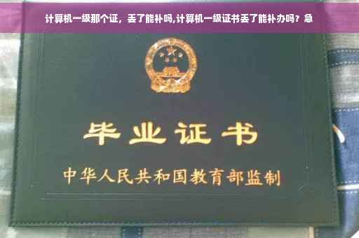 计算机一级那个证，丢了能补吗,计算机一级证书丢了能补办吗？急