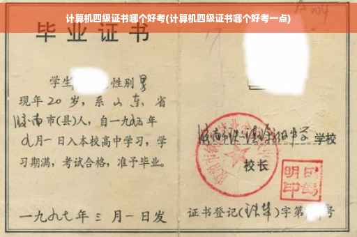 计算机四级证书哪个好考(计算机四级证书哪个好考一点)