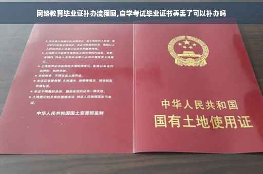 网络教育毕业证补办流程图,自学考试毕业证书弄丢了可以补办吗