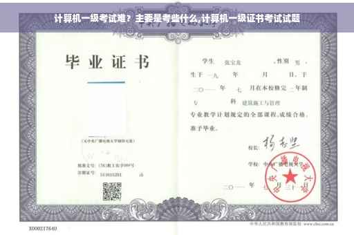 计算机一级考试难？主要是考些什么,计算机一级证书考试试题