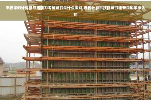 学校考的计算机应用能力考试证书是什么级别,各种计算机技能证书哪些是国家承认的