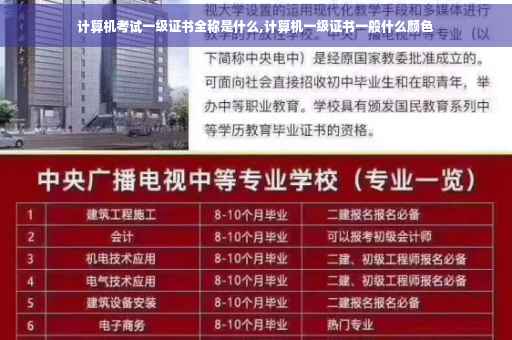 计算机考试一级证书全称是什么,计算机一级证书一般什么颜色