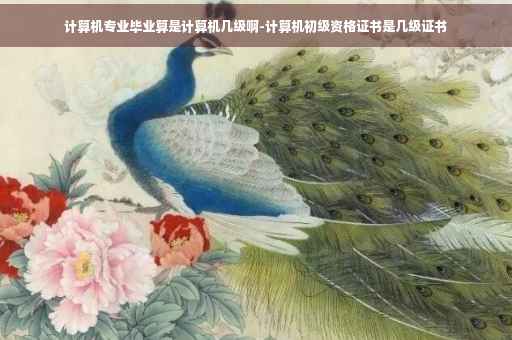 计算机专业毕业算是计算机几级啊-计算机初级资格证书是几级证书