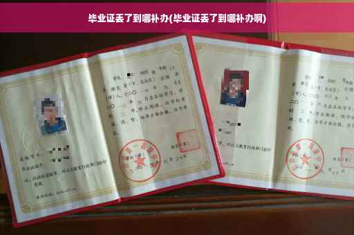 毕业证丢了到哪补办(毕业证丢了到哪补办啊)