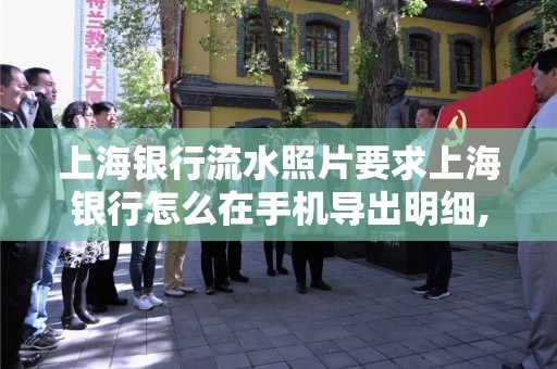上海银行流水照片要求上海银行怎么在手机导出明细,上海银行流水照片要求