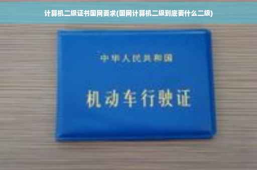 计算机二级证书国网要求(国网计算机二级到底要什么二级)