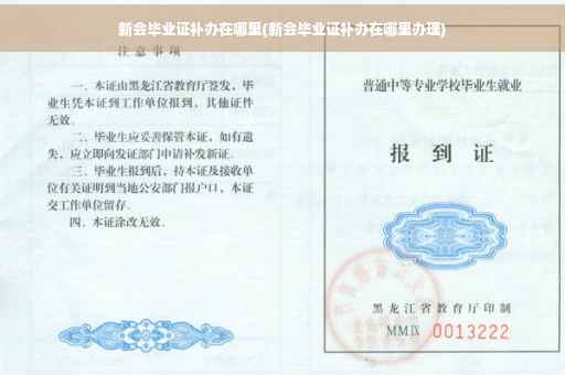 新会毕业证补办在哪里(新会毕业证补办在哪里办理)