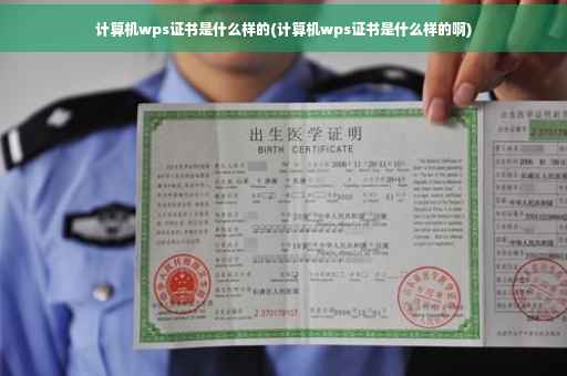计算机wps证书是什么样的(计算机wps证书是什么样的啊)