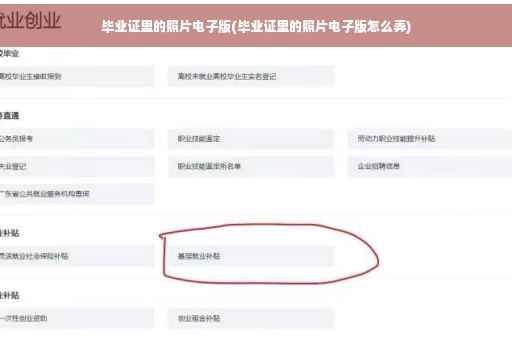 毕业证里的照片电子版(毕业证里的照片电子版怎么弄)