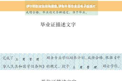 伊宁的职业技校有那些,伊犁中等毕业证电子版图片
