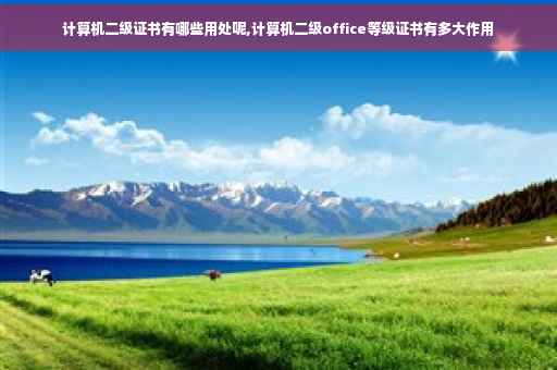 计算机二级证书有哪些用处呢,计算机二级office等级证书有多大作用